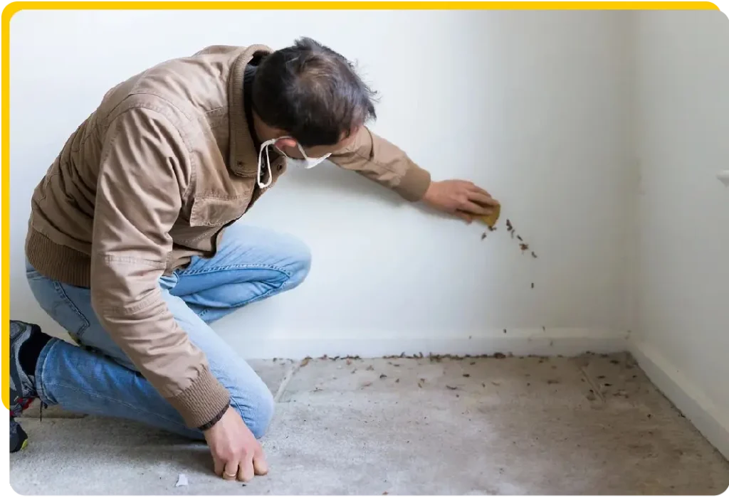 Michigan asbestos inspector conducting professional asbestos testing